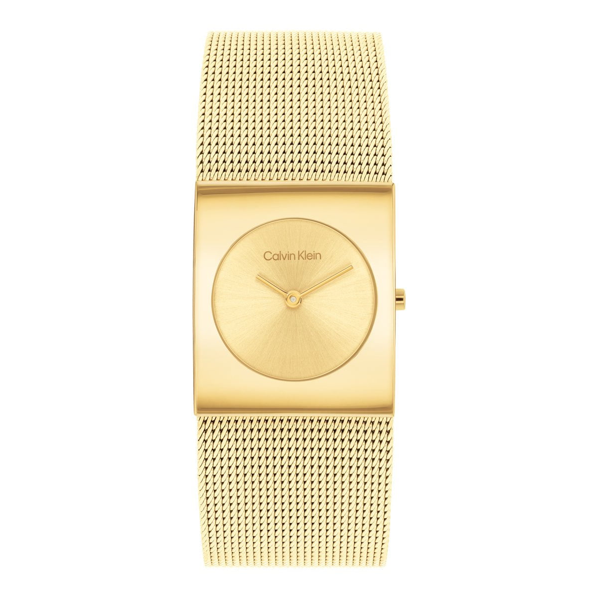CALVIN KLEIN Montre CALVIN KLEIN Femme 25100062