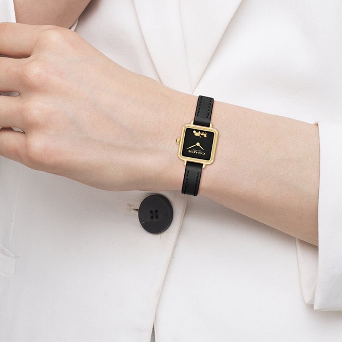 COACH COACH 14504225