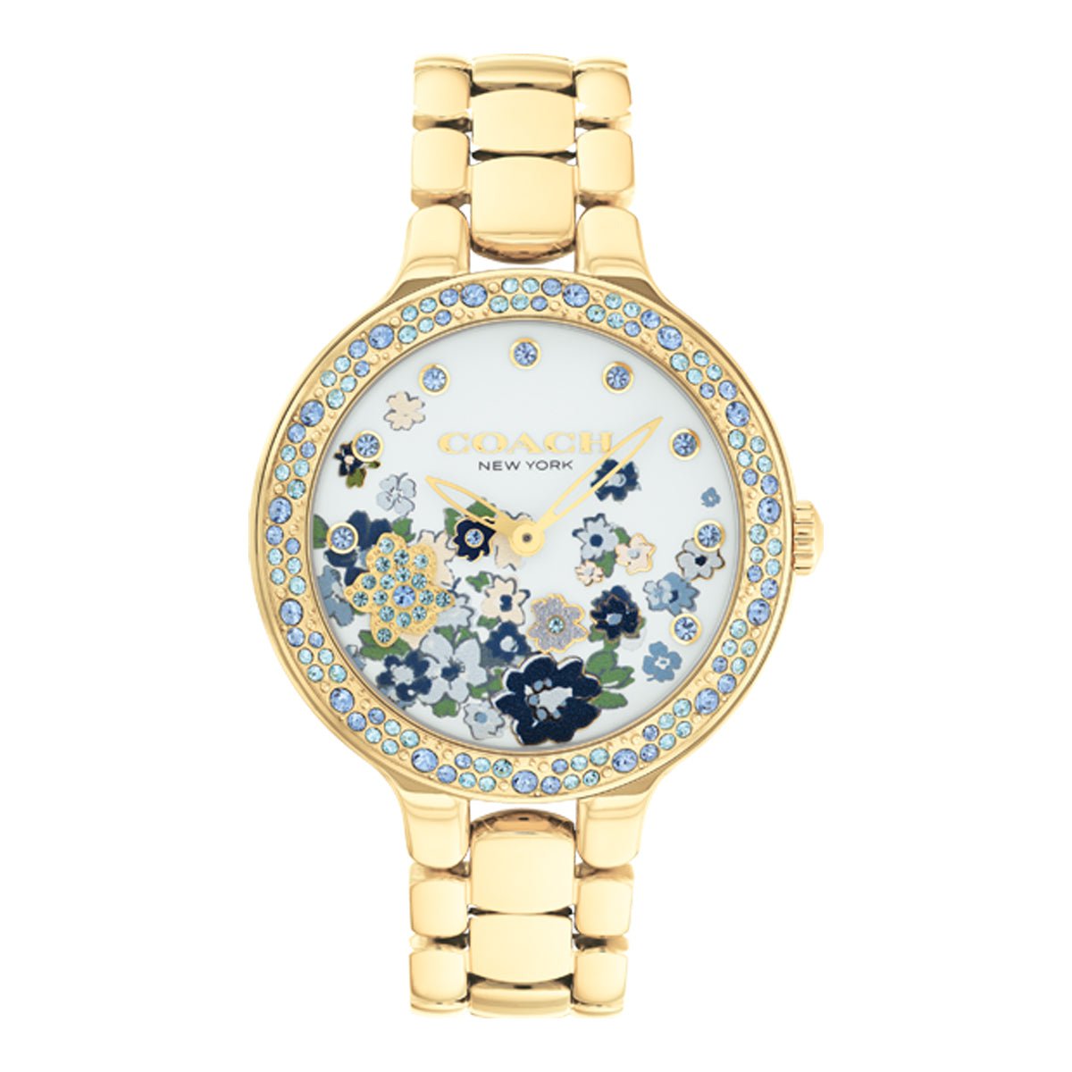 COACH COACH 14504500