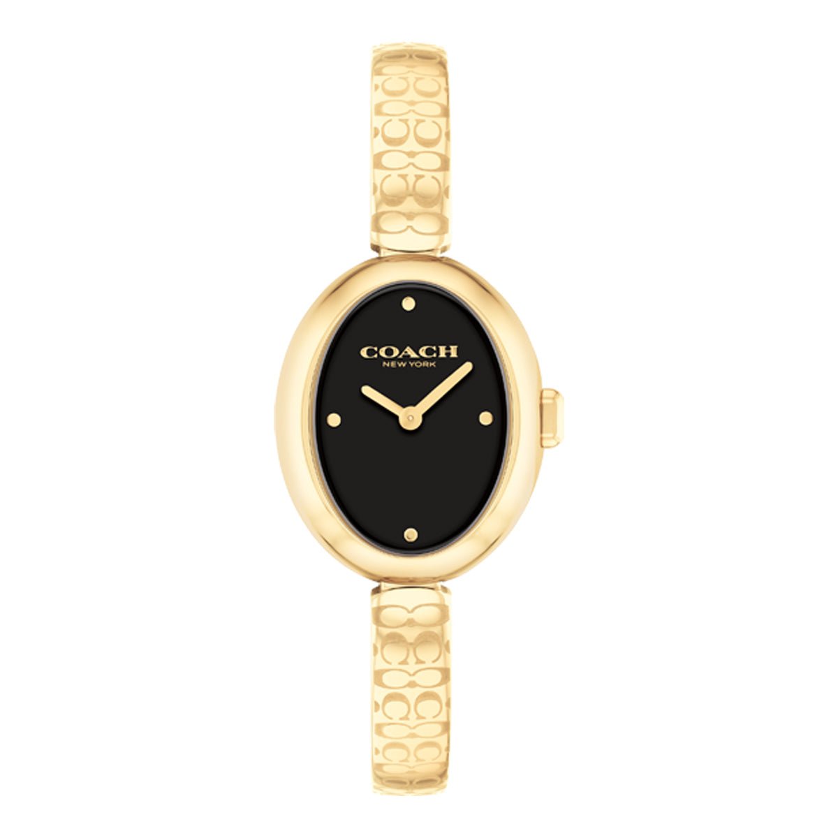 COACH COACH 14504521