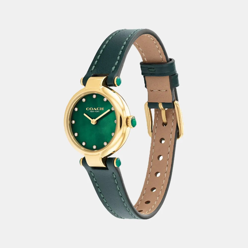 COACH Montre COACH Femme Cary en Cuir Vert 14503951