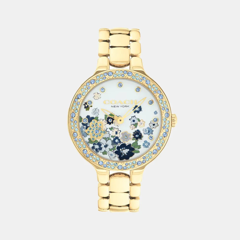 COACH Montre COACH Femme Chelsea en Acier 14504500