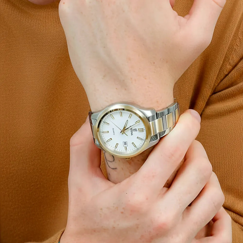 FESTINA Montre FESTINA Homme Acero Clasico en Acier F20738/1