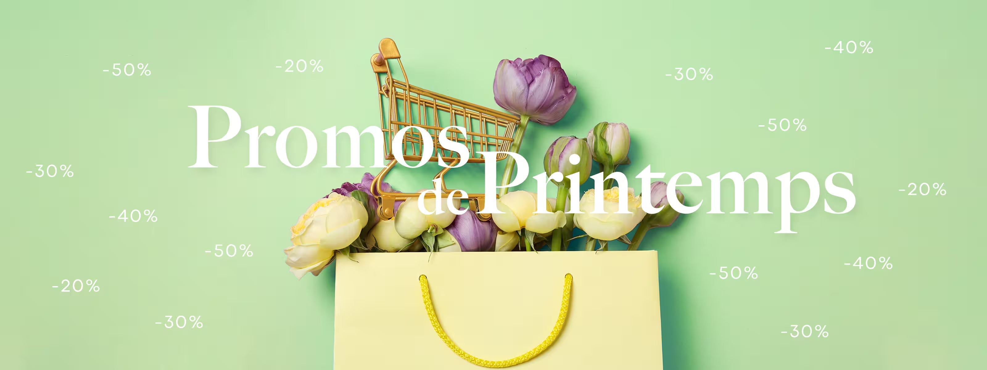 Bannière soldes hivers