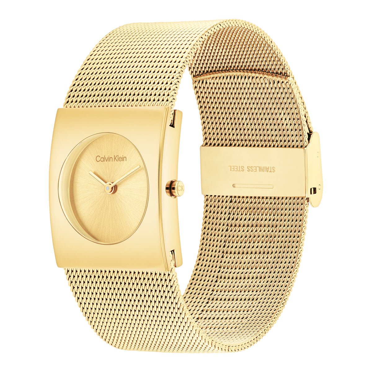 CALVIN KLEIN Montre CALVIN KLEIN Femme 25100062