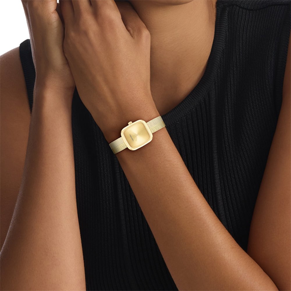 CALVIN KLEIN Montre CALVIN KLEIN Femme 25100099