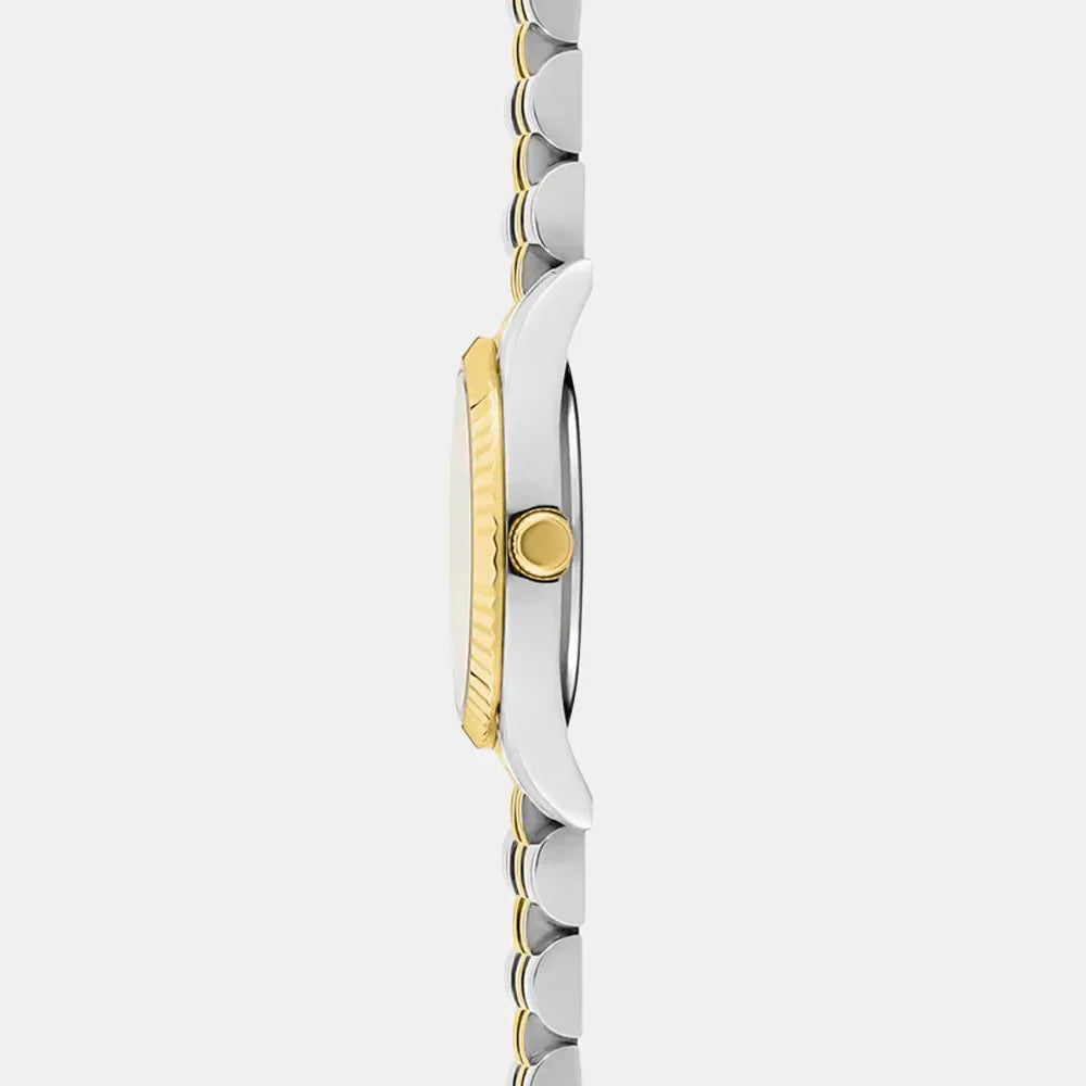 CLYDA Montre CLYDA Femme Lea en Acier CLA8312A2