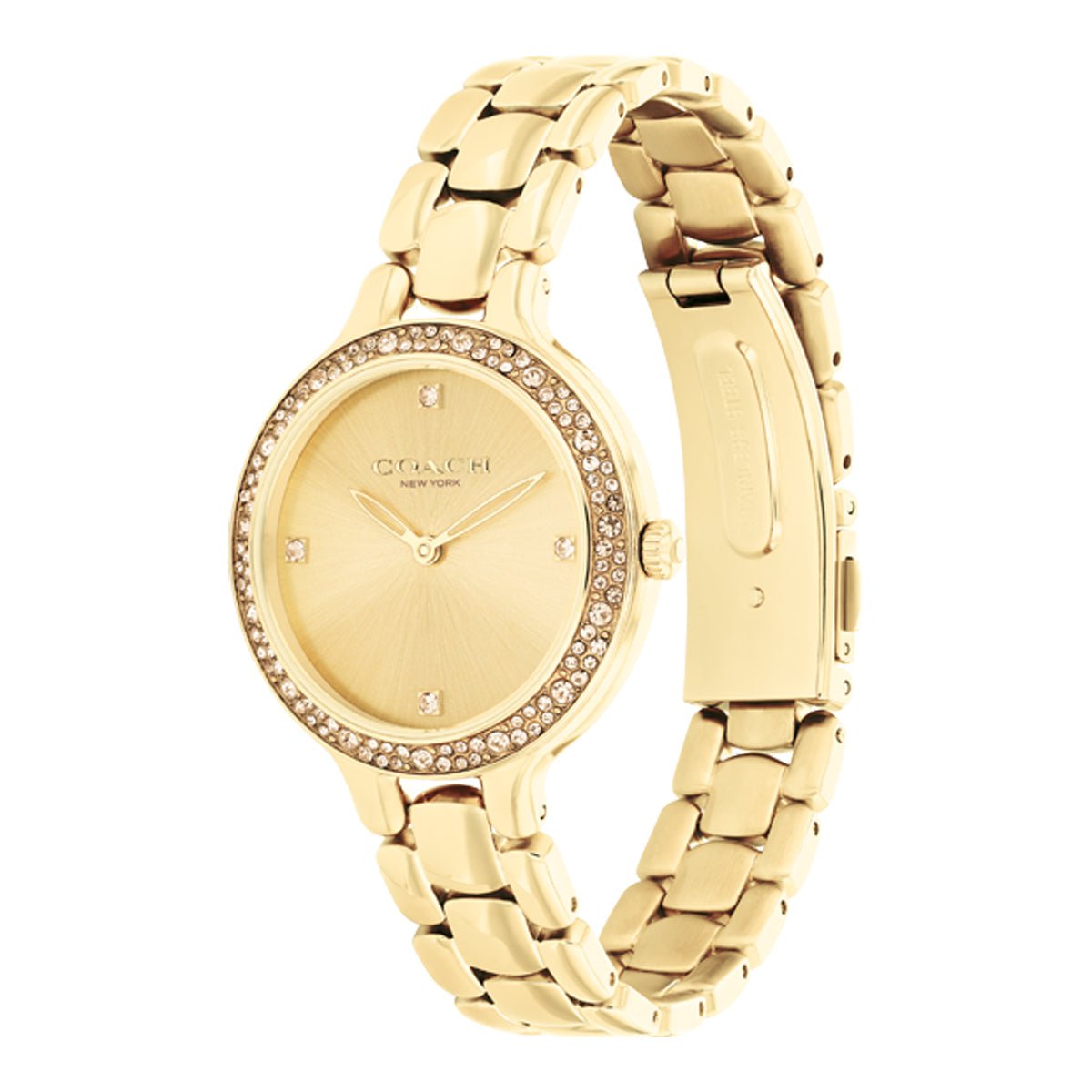 COACH COACH 14504125