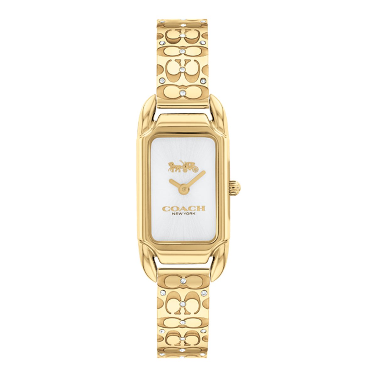 COACH COACH 14504196