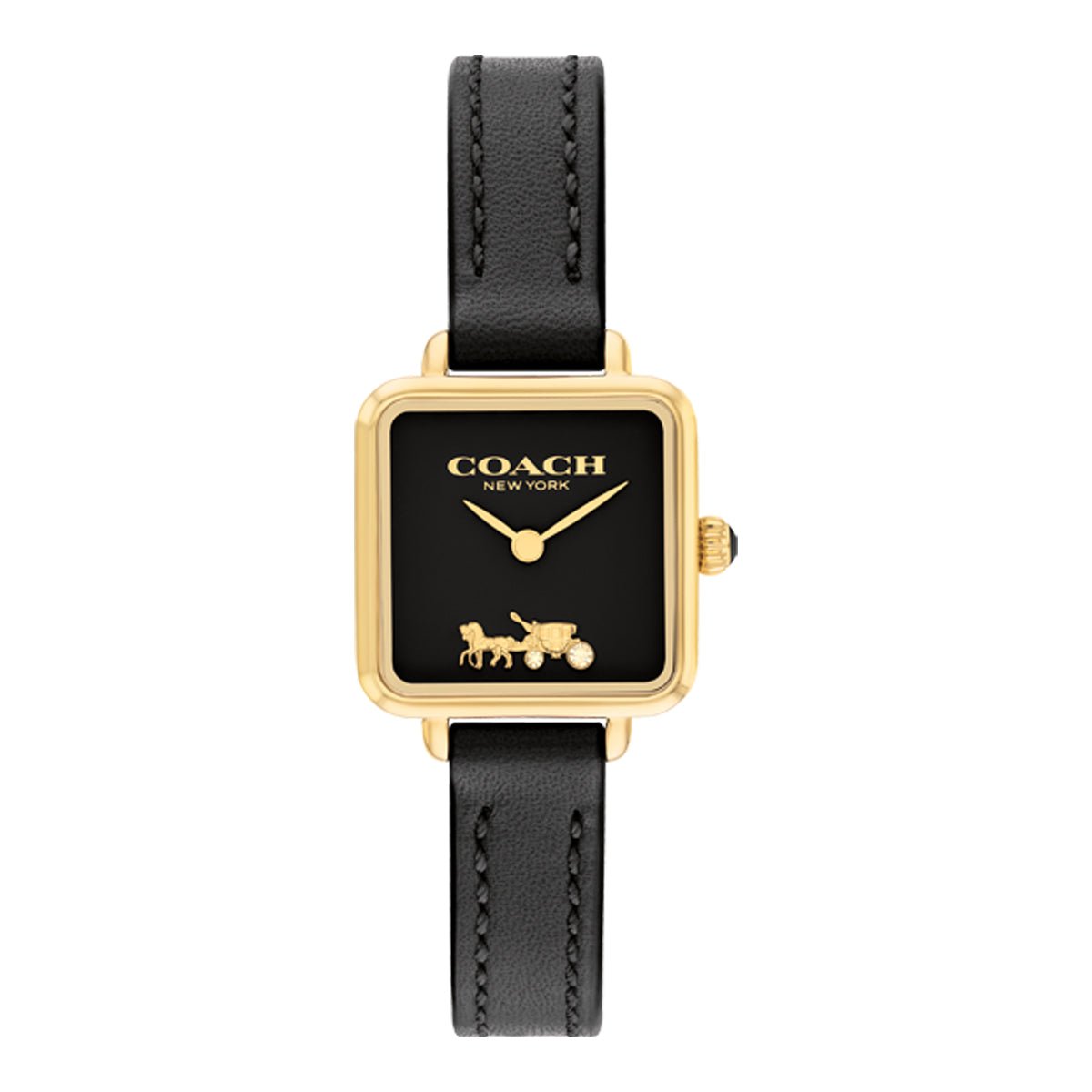 COACH COACH 14504225