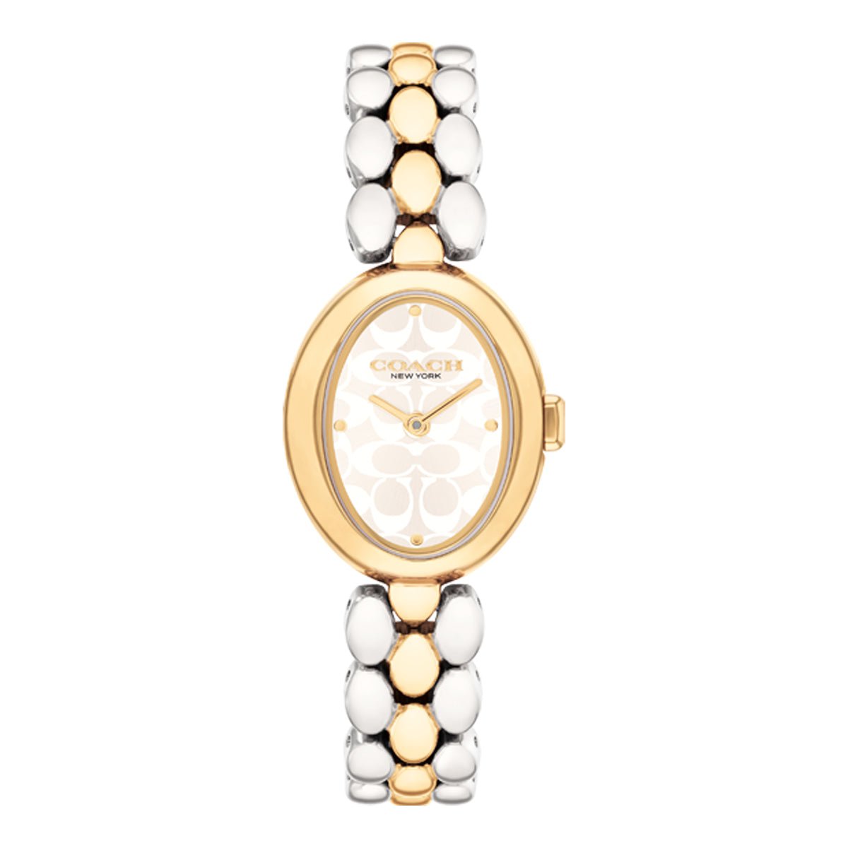 COACH COACH 14504419