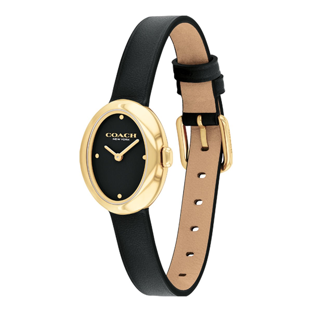 COACH COACH 14504421