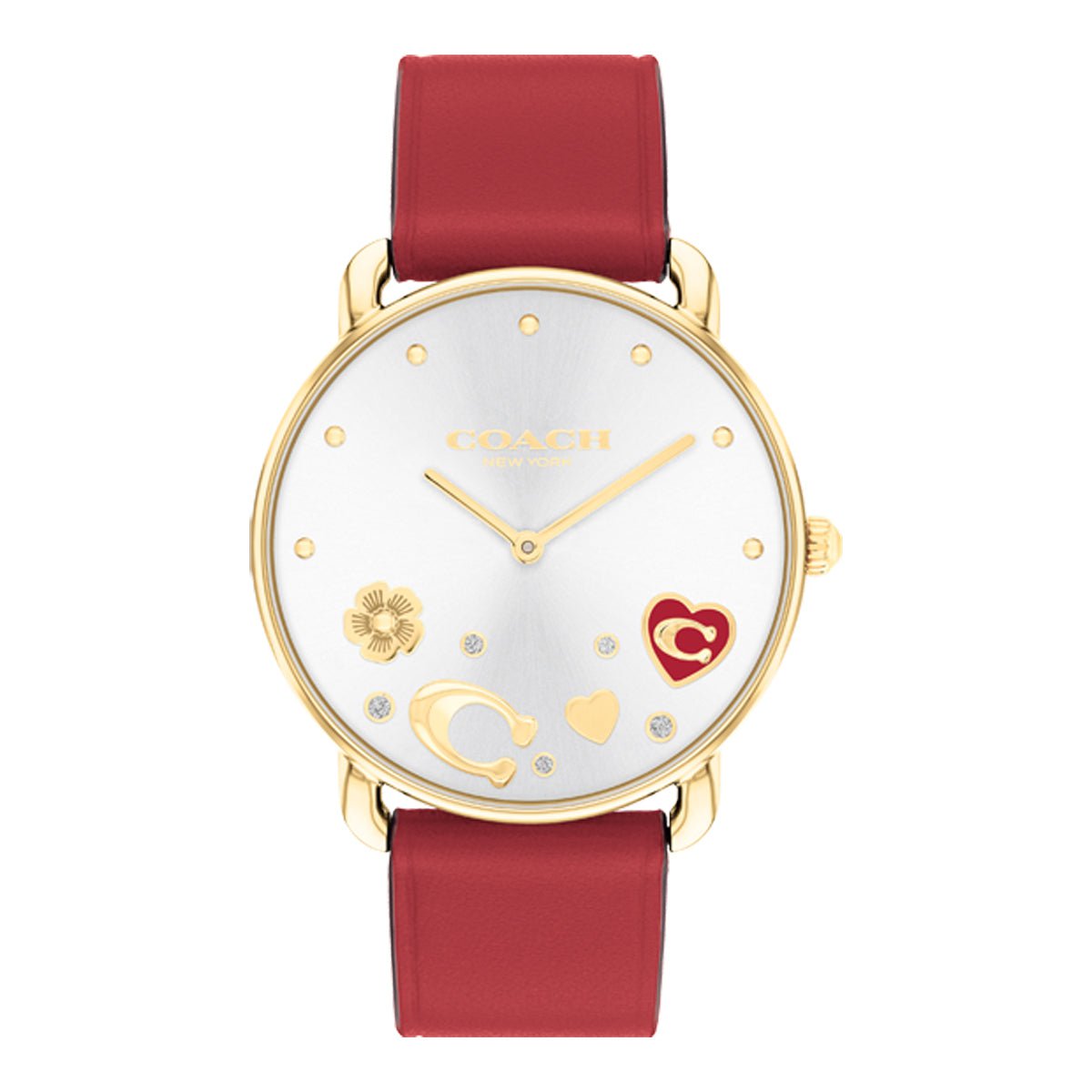 COACH COACH 14504520