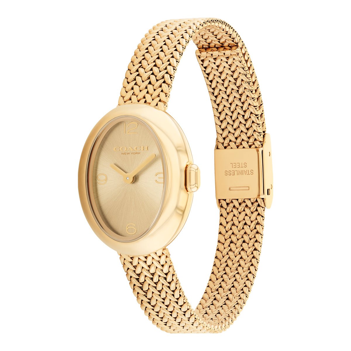 COACH COACH 14504567