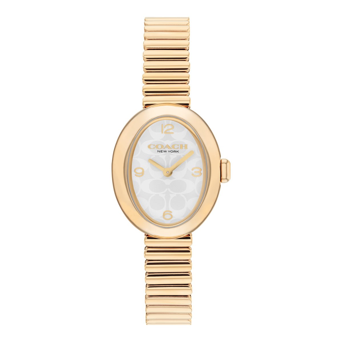 COACH COACH 14504573