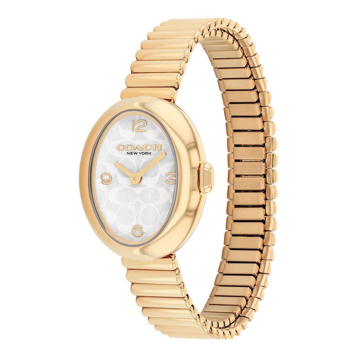 COACH COACH 14504573