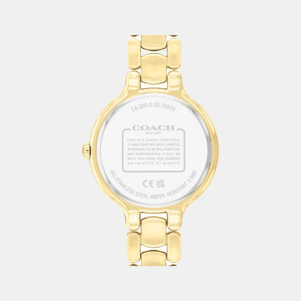 COACH Montre COACH Femme Chelsea en Acier 14504500