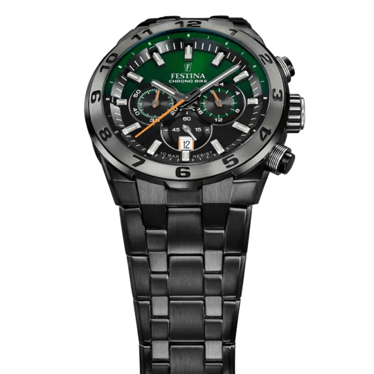 FESTINA FESTINA F20673/2